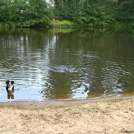 Camping & Ferienpark Falkensteinsee Steinkimmen